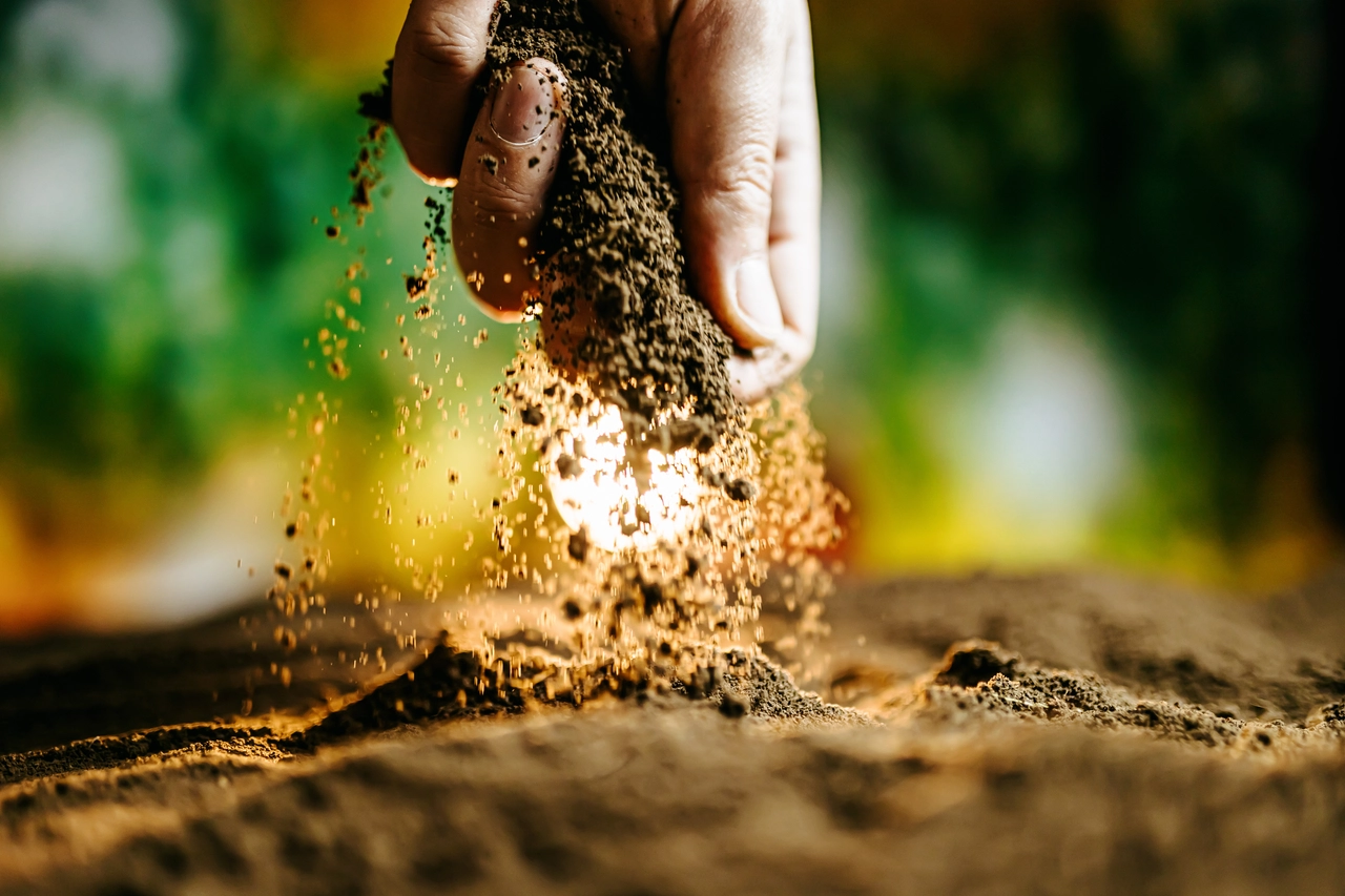 Come trasformare la vecchia terra in una risorsa preziosa per il tuo giardino Immagine selezionata