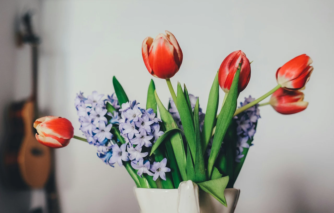 Dove vedere il tripudio di colori dei tulipani in fiore questa stagione Immagine selezionata