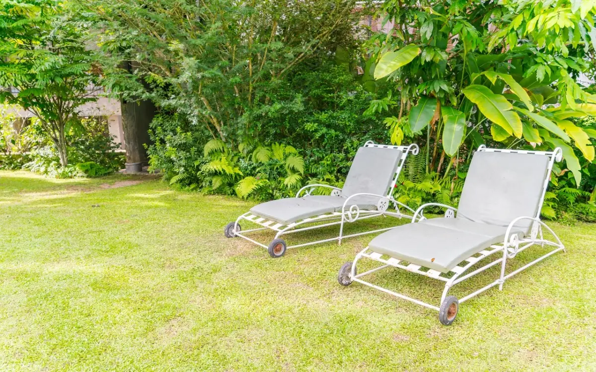 Come eliminare gli insetti dal giardino con il metodo semplice che ancora pochi conoscono Immagine selezionata