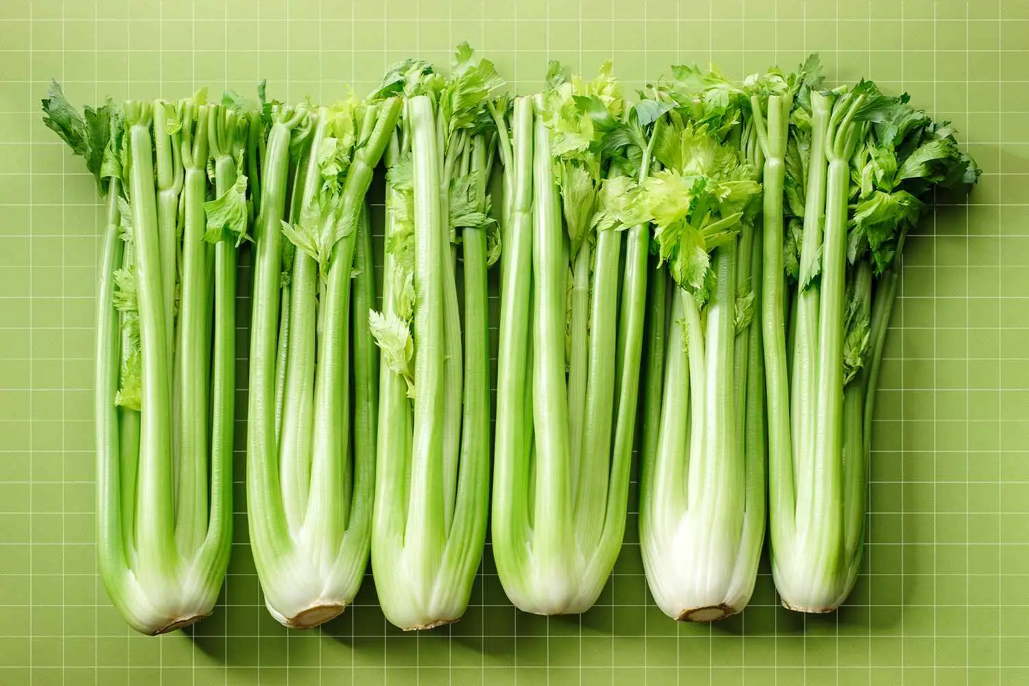 Sedano: i consigli per ottenere coste tenere e dal sapore delicato Immagine selezionata