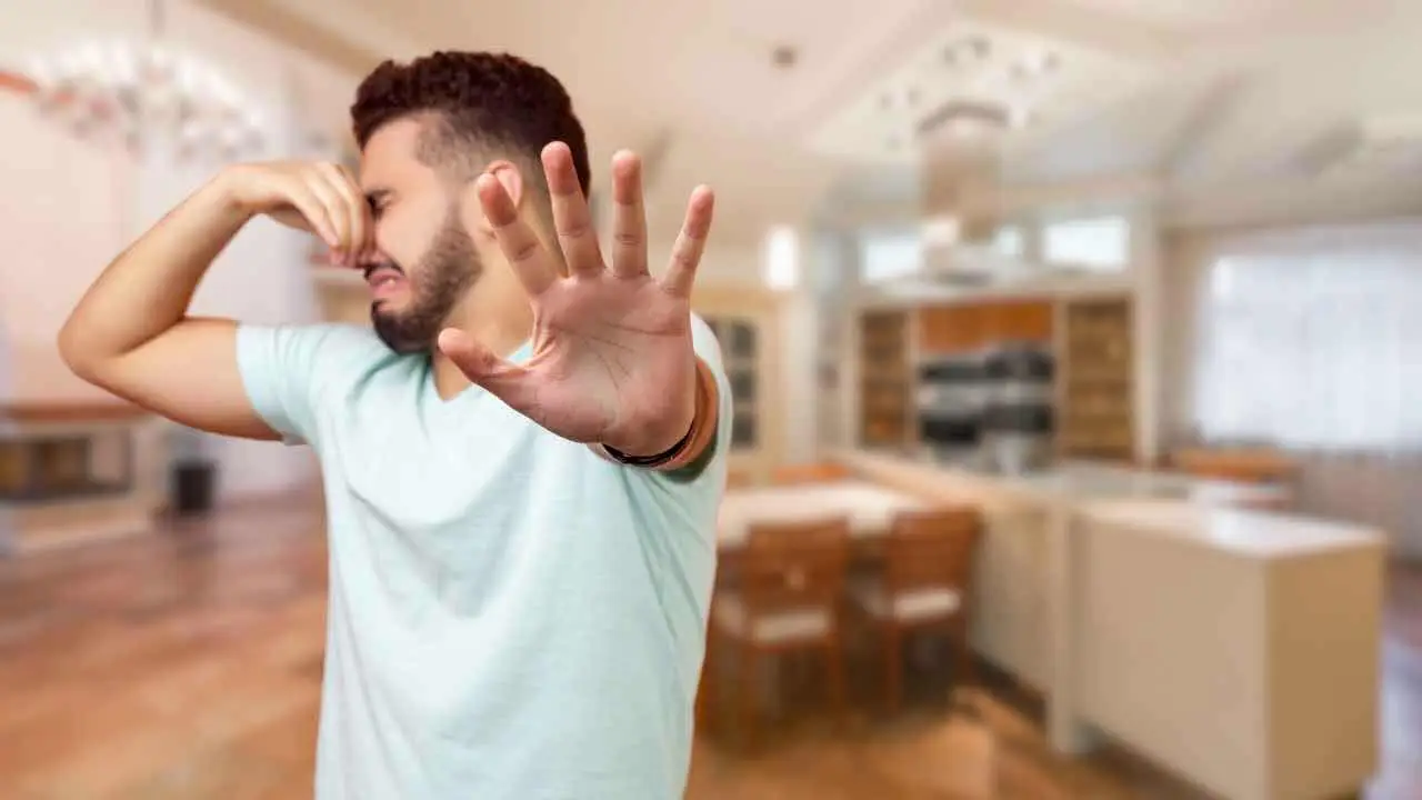 Come eliminare i cattivi odori dai tuoi tessuti in casa Immagine selezionata