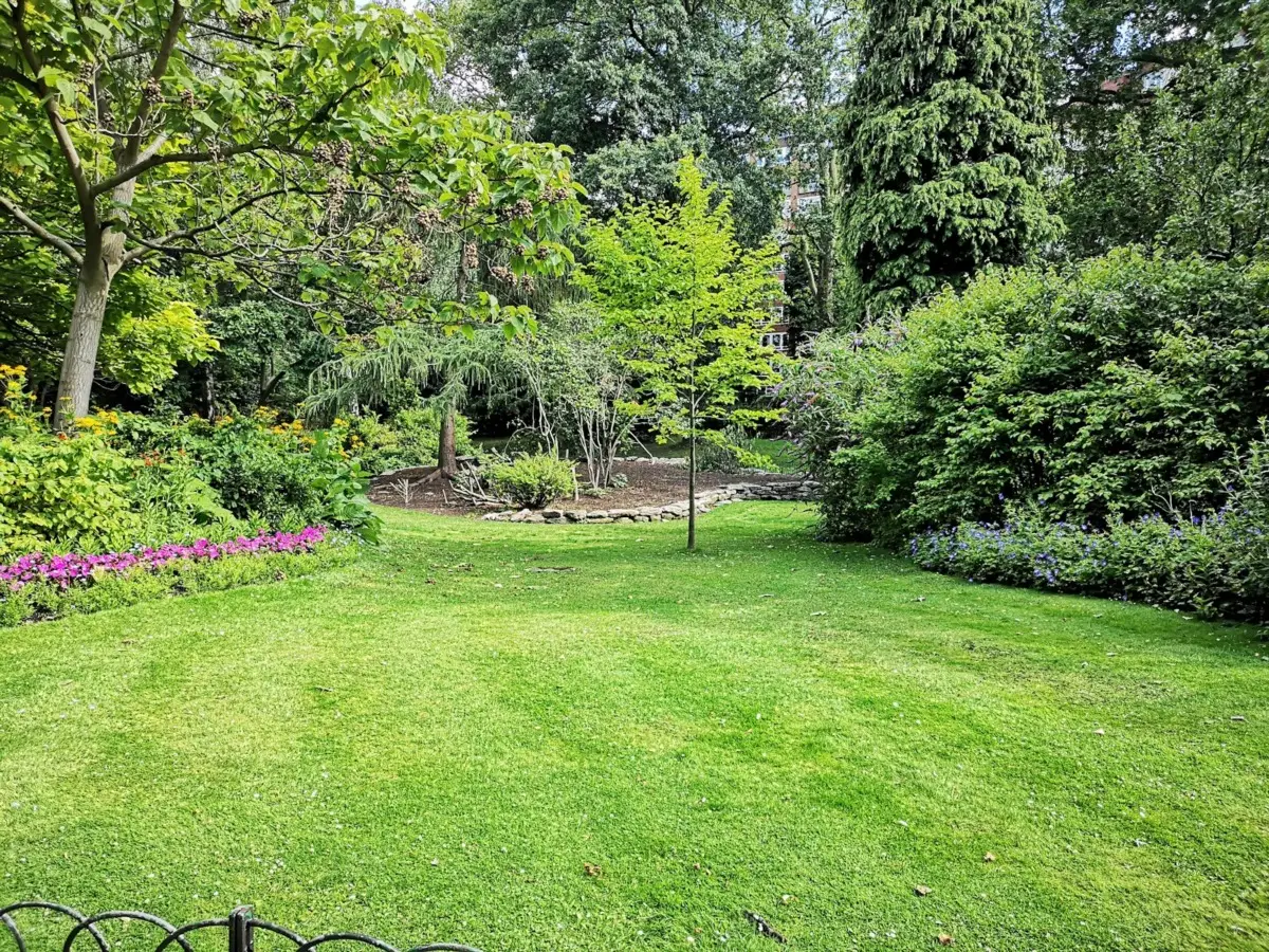 Come mantenere il prato sempre verde anche con poca acqua Immagine selezionata