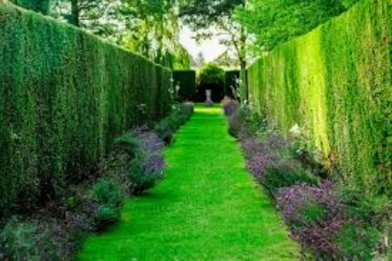 Come mantenere il prato sempre verde anche con poca acqua Immagine selezionata