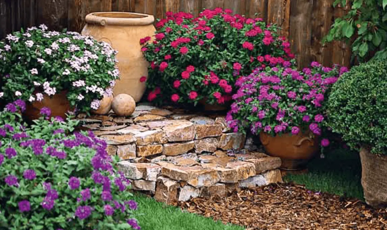 Come realizzare un giardino mediterraneo: ecco le piante più adatte Immagine selezionata