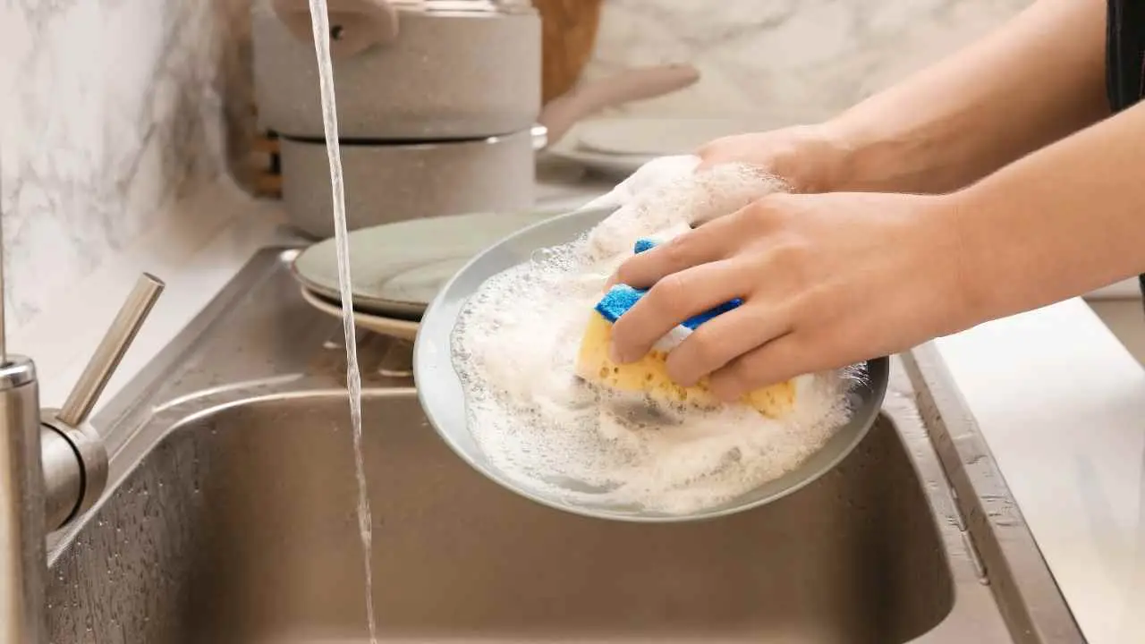 Non usare la spugna da cucina troppo a lungo: ogni quanto cambiarla Immagine selezionata
