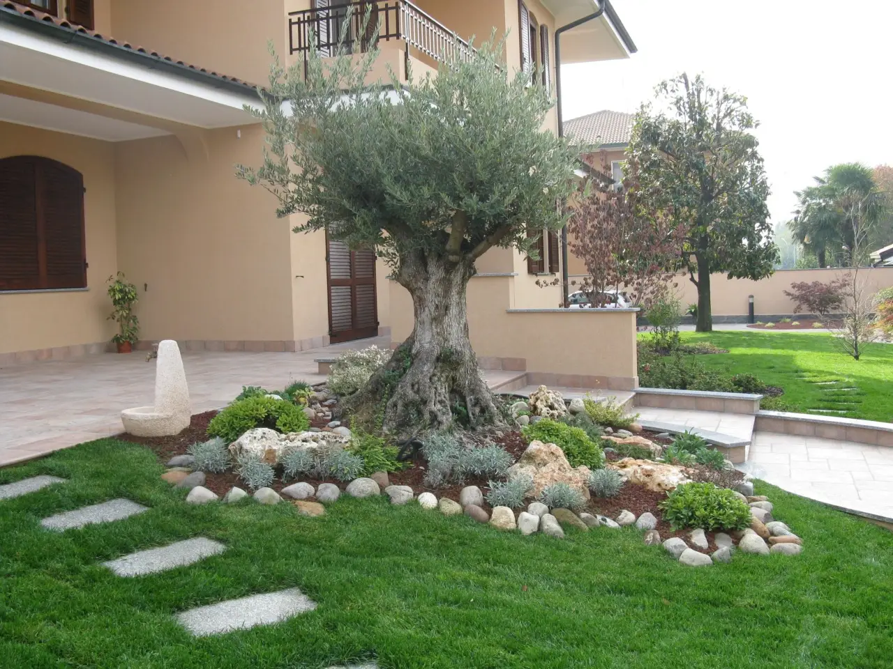 Come realizzare un giardino mediterraneo: ecco le piante più adatte Immagine selezionata