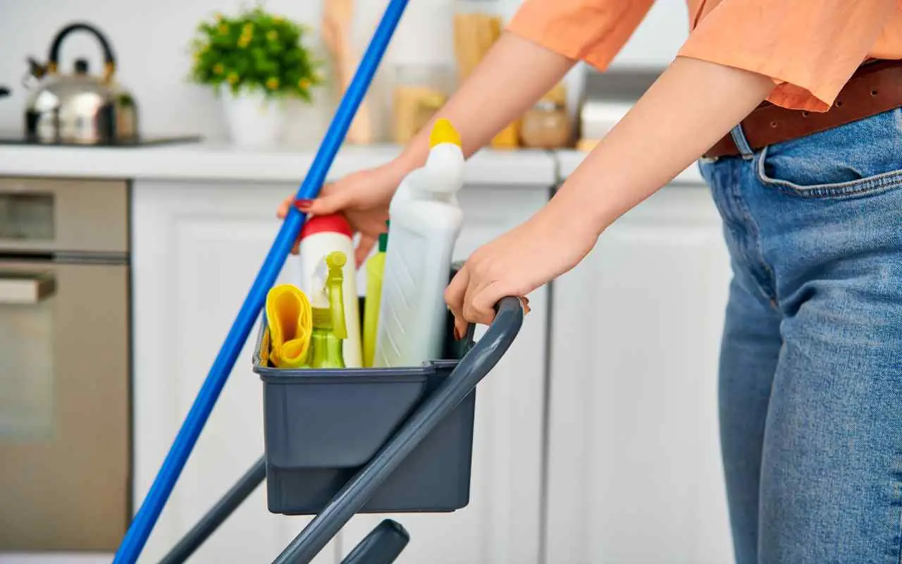 Attenzione a questi prodotti per la pulizia: ecco alcuni possono essere tossici Immagine selezionata