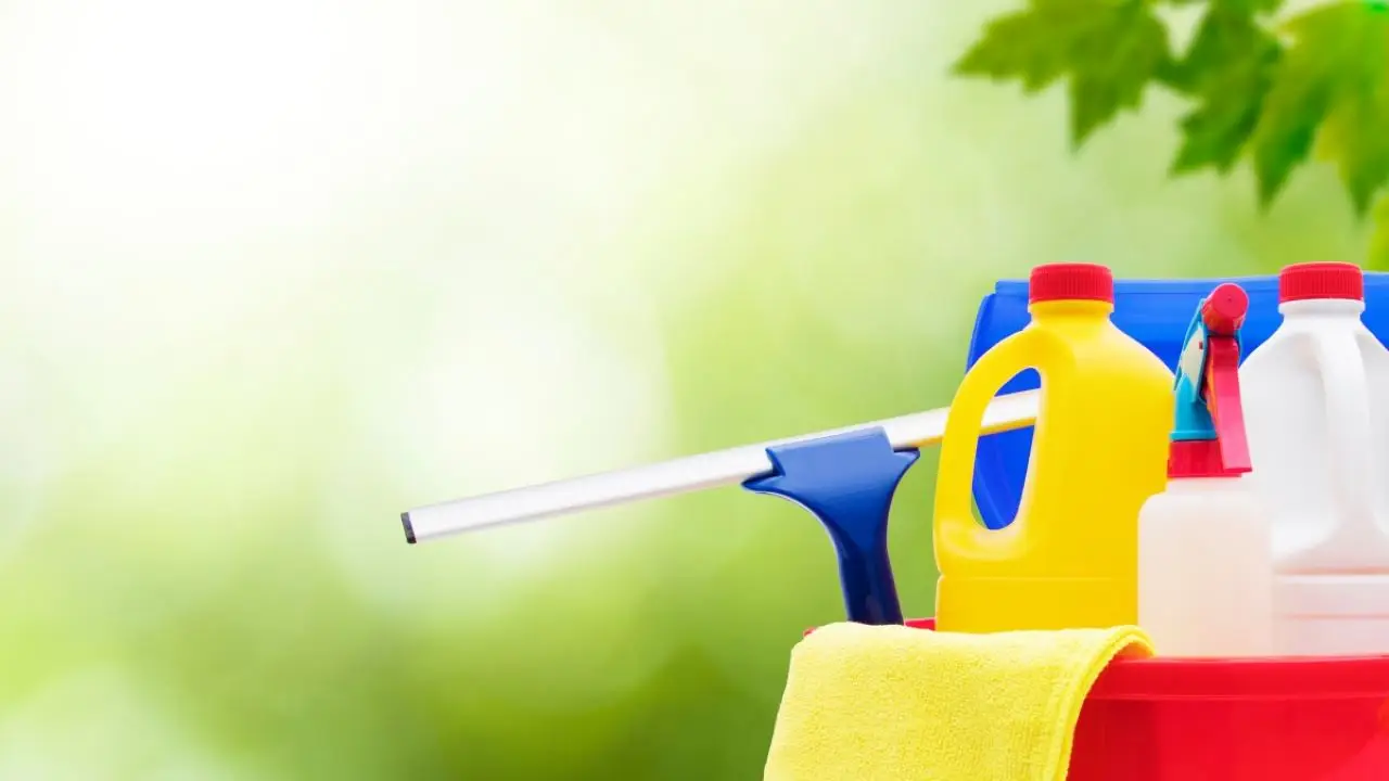 Attenzione a questi prodotti per la pulizia: ecco alcuni possono essere tossici Immagine selezionata