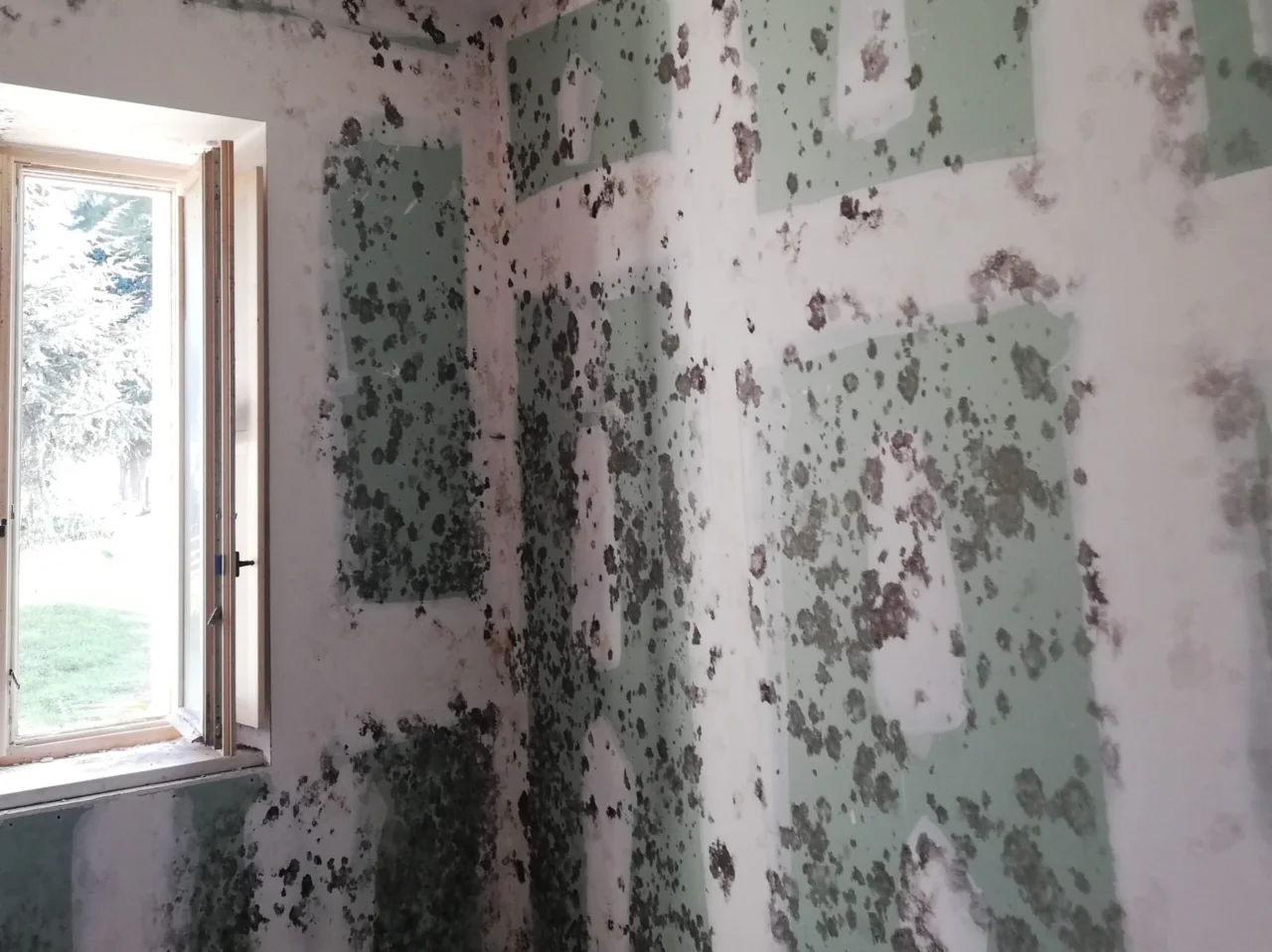 Come evitare che il tuo bagno si riempia di umidità dopo la doccia