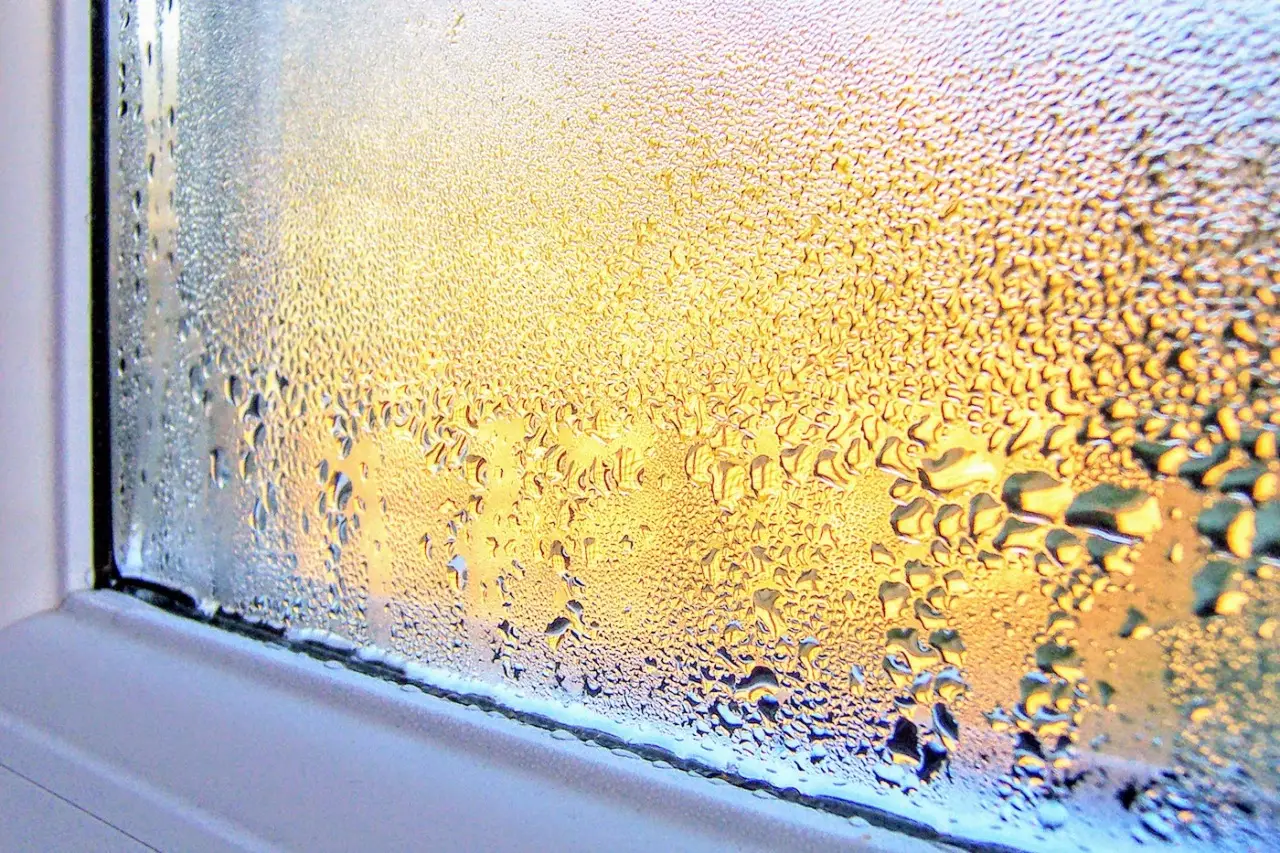 Come evitare che il tuo bagno si riempia di umidità dopo la doccia Immagine selezionata