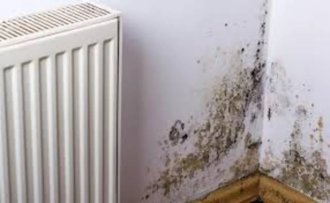 Come evitare che il tuo bagno si riempia di umidità dopo la doccia Immagine selezionata