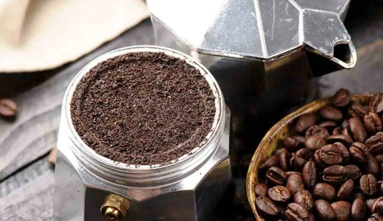 Caffè in giardino i consigli per nutrire le piante Caffè in giardino i consigli per nutrire le piante