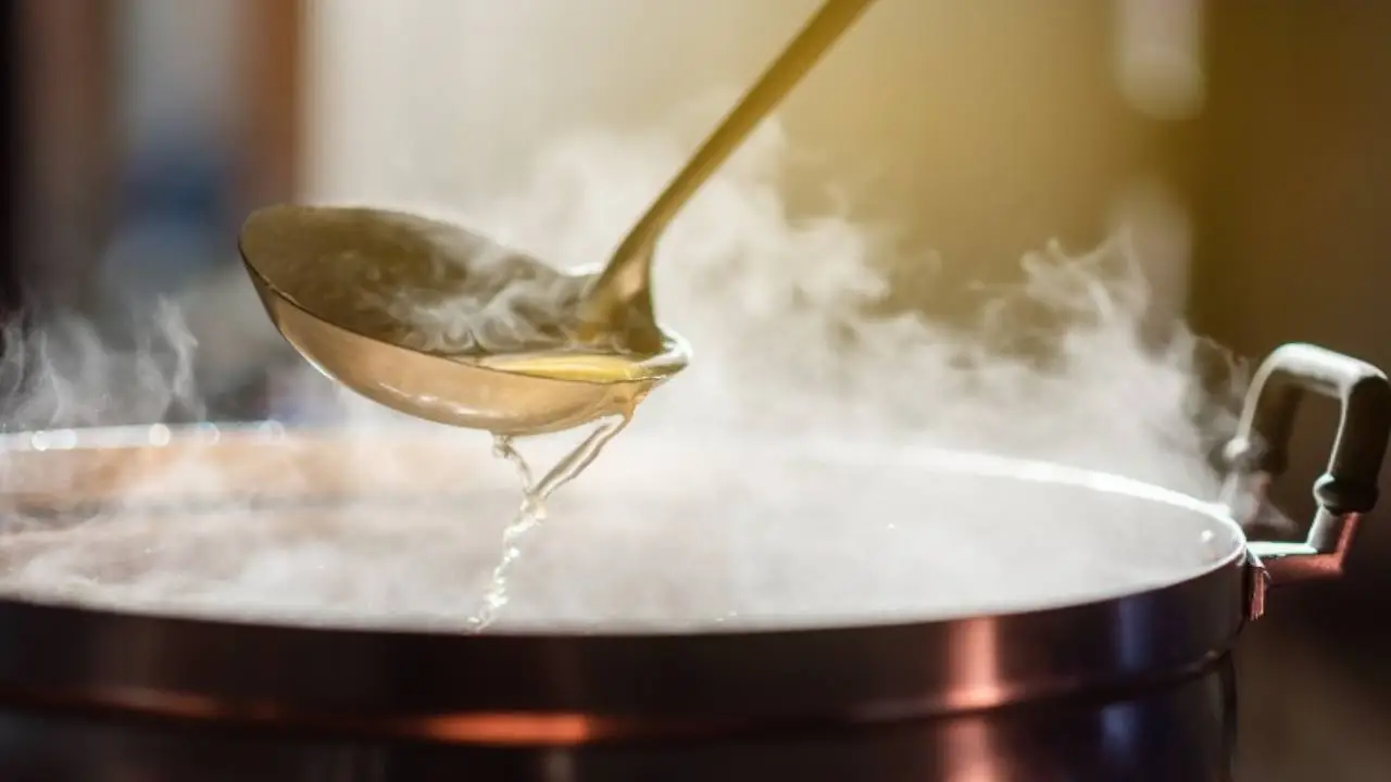 Acqua di cottura della pasta: un alleato naturale per fertilizzare le piante Acqua di cottura della pasta: un alleato naturale per fertilizzare le piante