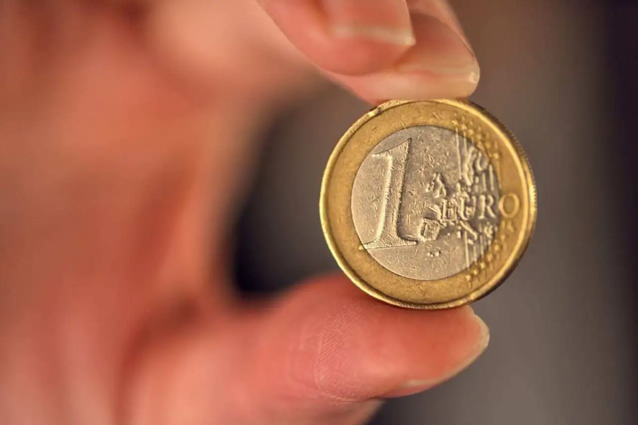 La pianta fiorita che fa impazzire il Sud: da Lidl a solo 1€, è resistente e non richiede cure particolari La pianta fiorita che fa impazzire il Sud: da Lidl a solo 1€, è resistente e non richiede cure particolari