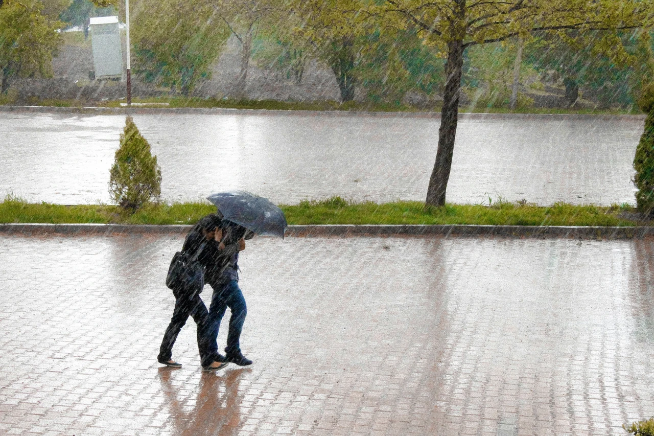 Il rimedio per evitare il ristagno d’acqua nei vasi SP - Vaso bucato con argilla espansa