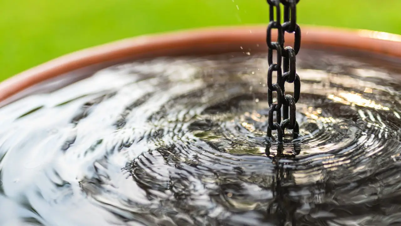Il rimedio per evitare il ristagno d’acqua nei vasi SP - Vaso bucato con argilla espansa