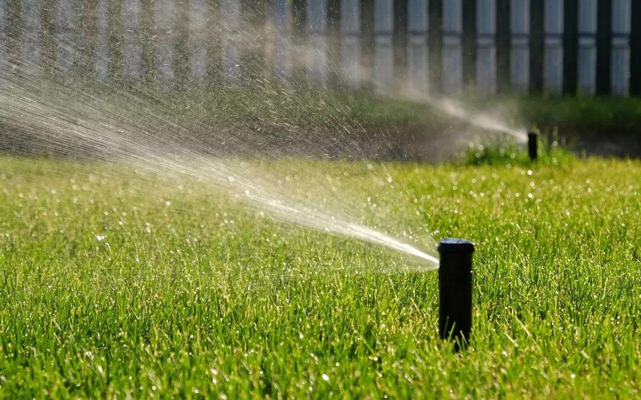 Il rimedio per evitare il ristagno d’acqua nei vasi SP - Vaso bucato con argilla espansa