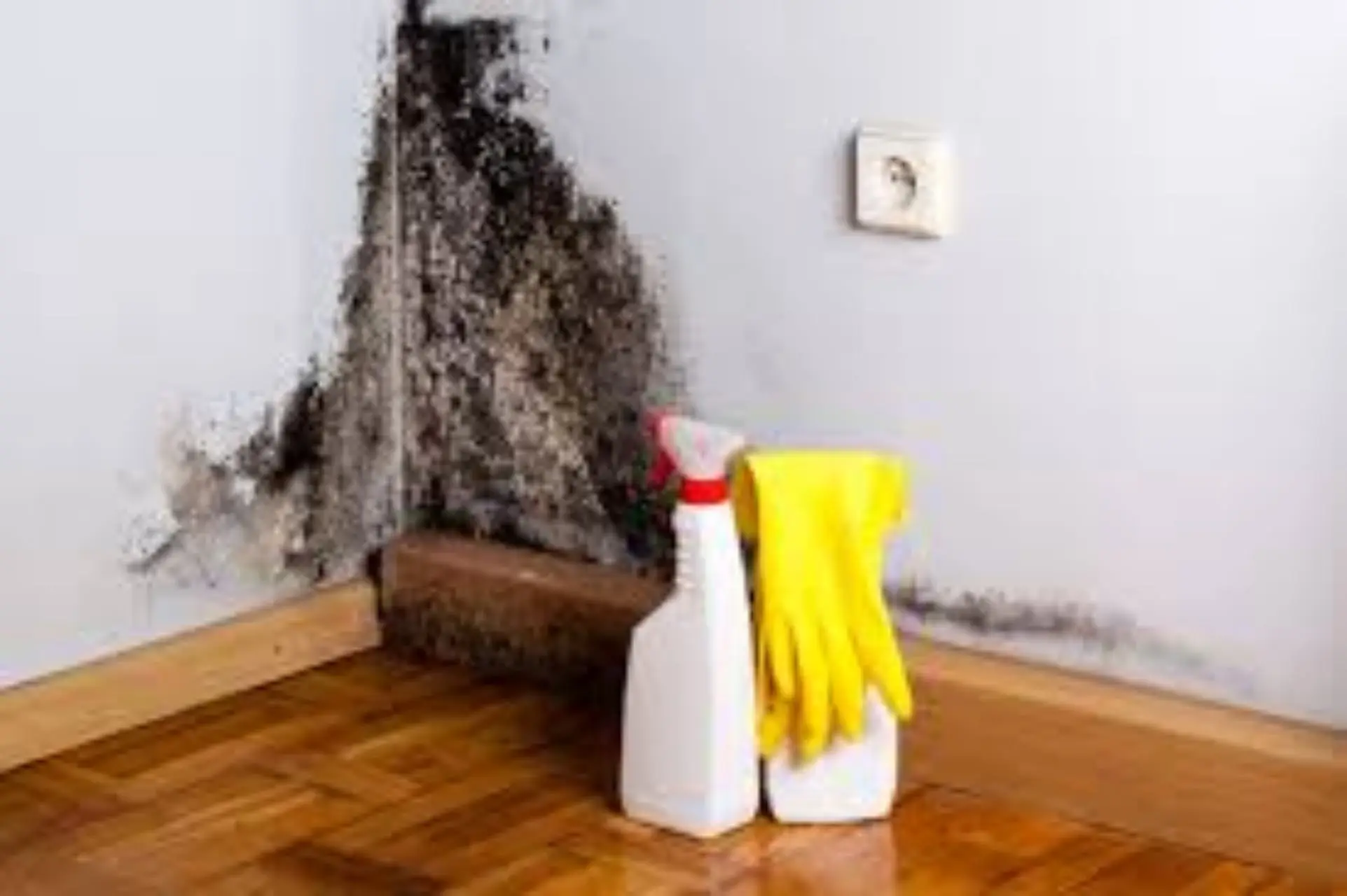 Come prevenire la muffa sulle pareti con metodi naturali e senza prodotti chimici Come prevenire la muffa sulle pareti con metodi naturali e senza prodotti chimici