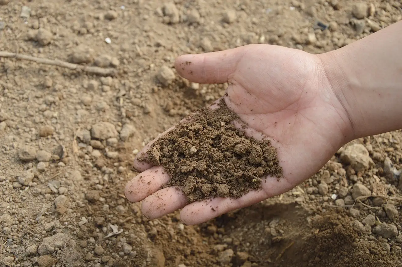 Come scegliere il terriccio giusto per ogni pianta SP - Sacchi di terriccio con etichette specifiche